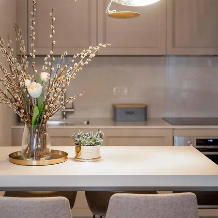 In - Istrien 49823 Apartment *